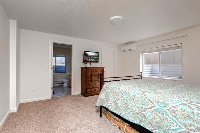 Downstairs Master Bedroom