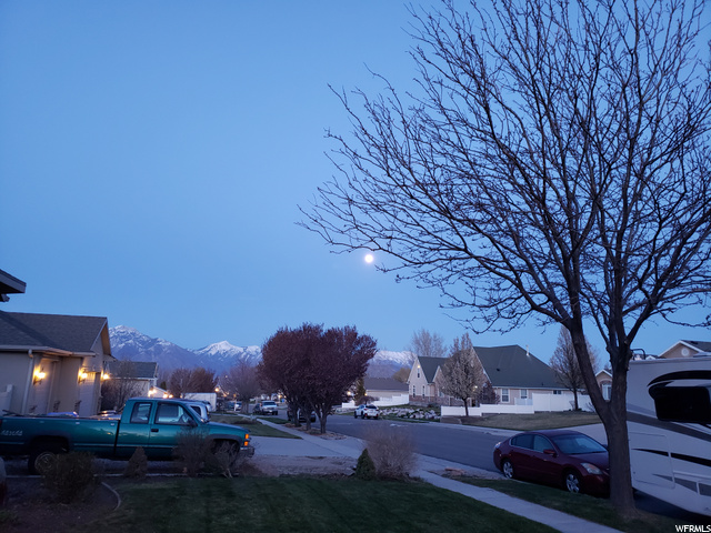 View from Frontyard