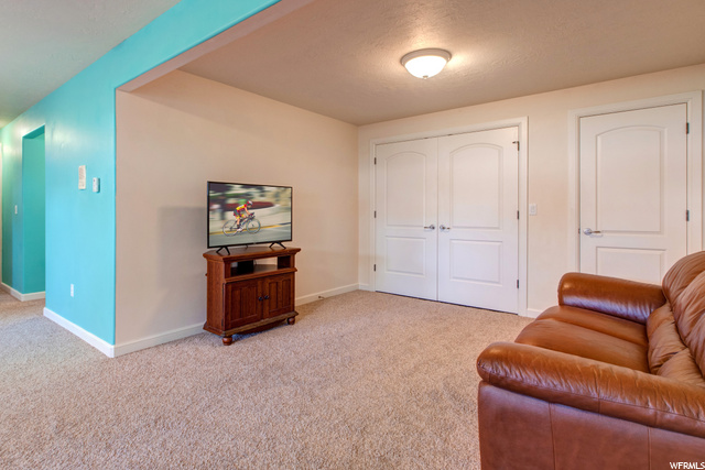 Downstairs Family Room
