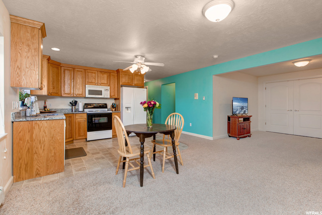 Downstairs Kitchen and Dining Area
