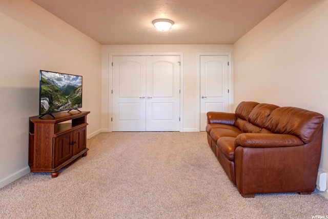 Downstairs Family Room