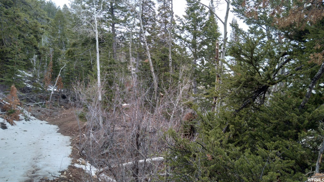 #17, Tabiona, UT 84072 — photo 9
