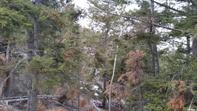#17, Tabiona, UT 84072 — photo 6
