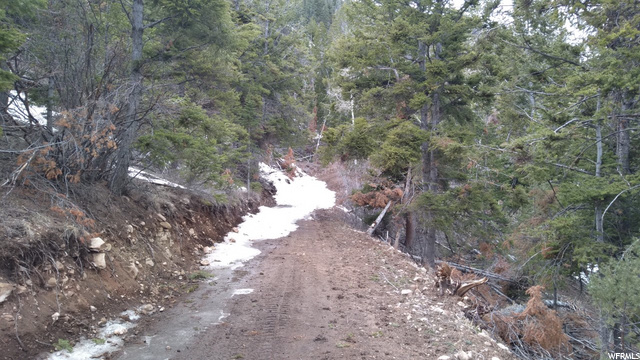 #17, Tabiona, UT 84072 — photo 2