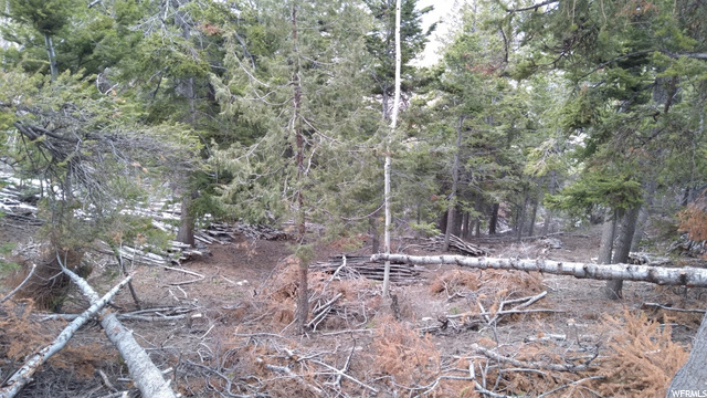 #17, Tabiona, UT 84072 — photo 8