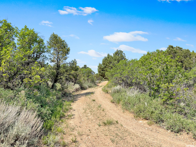 #478, Indianola, UT 84629 — photo 5