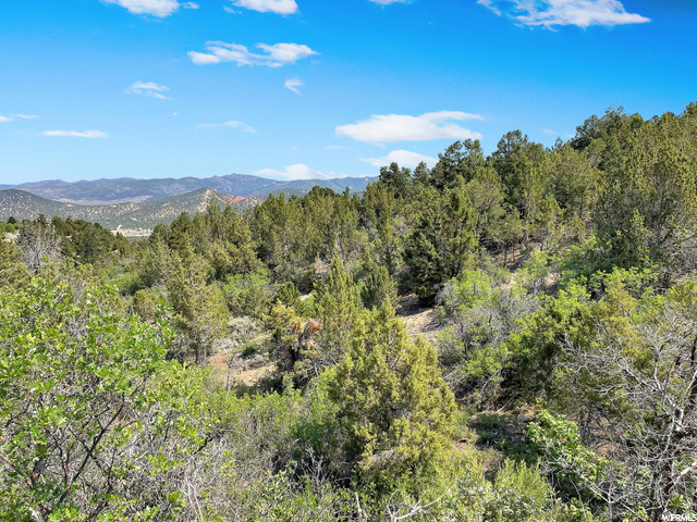 #478, Indianola, UT 84629 — photo 8