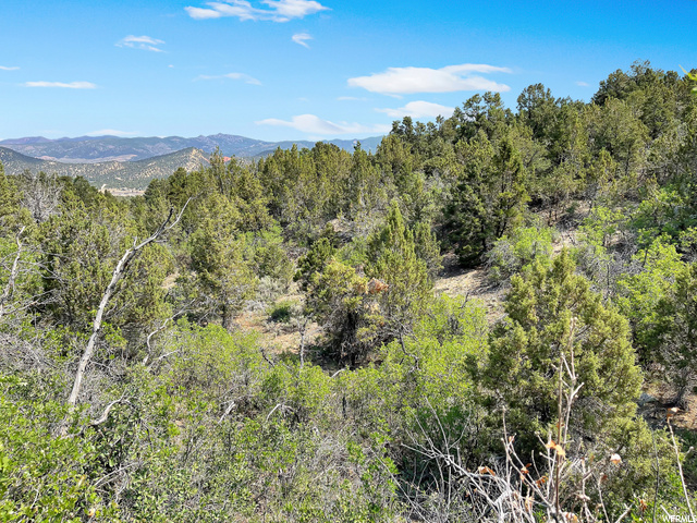 #478, Indianola, UT 84629 — photo 7