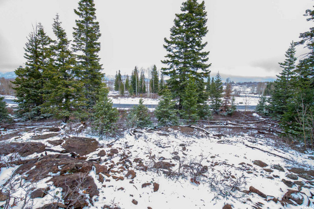 Virgin, UT 84779 — photo 4