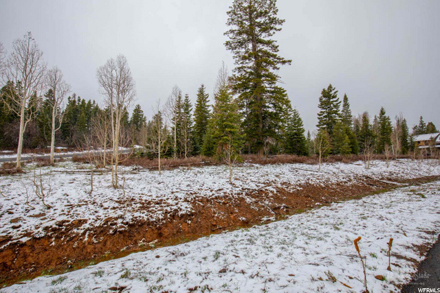 Virgin, UT 84779 — photo 9