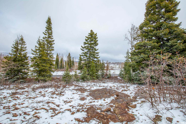 Virgin, UT 84779 — photo 3