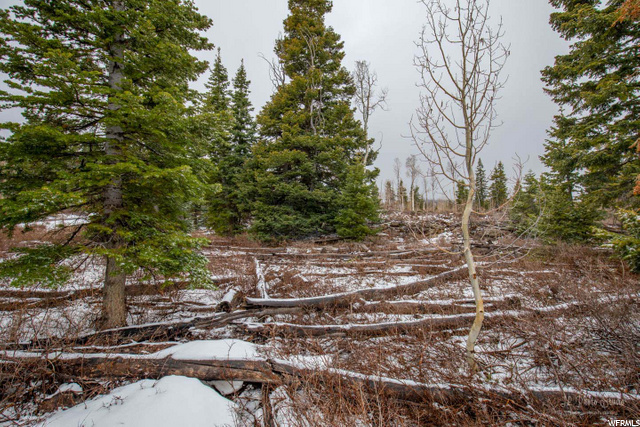 Virgin, UT 84779 — photo 8
