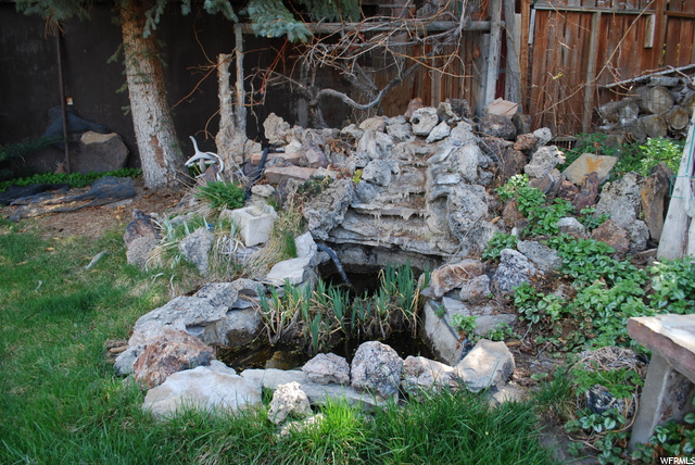 Garden pond