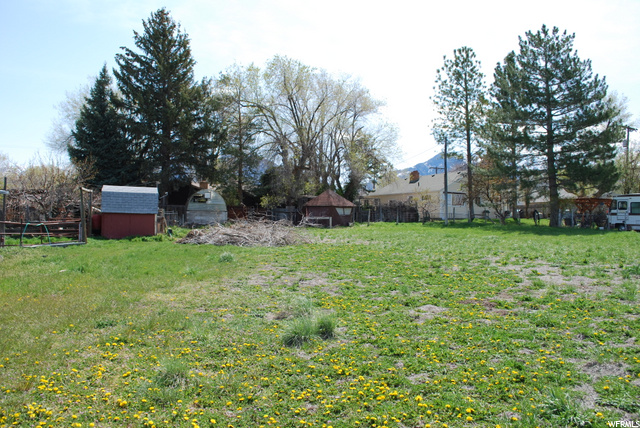 Field behind house