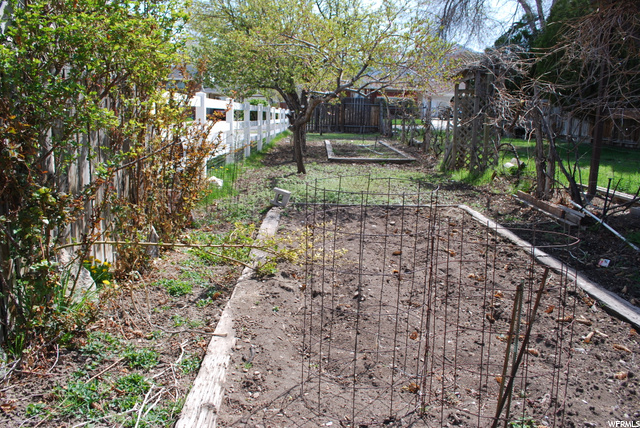 Garden area