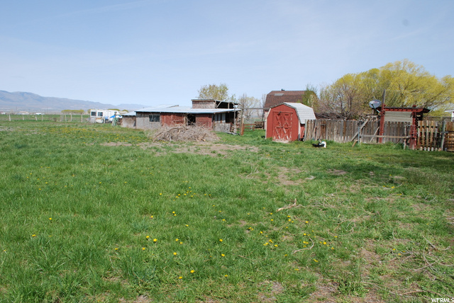 Back field