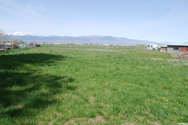 Back field
