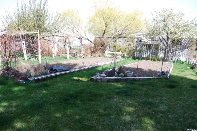 Garden area