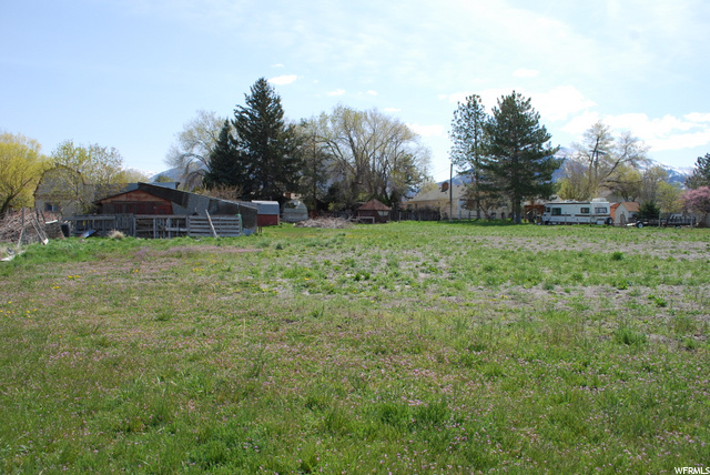 Field behind house
