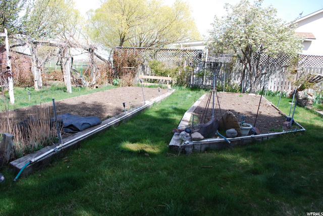 Garden area