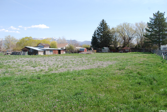 Field behind house