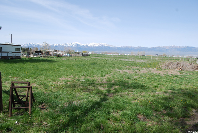 Back field