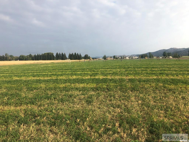 #2, Grace, ID 83241 — photo 4