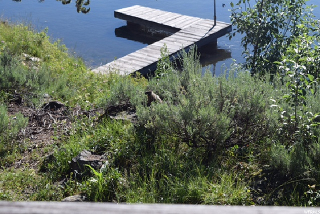 2848 E Pinehaven Dr, Island Park, ID 83429 — photo 4