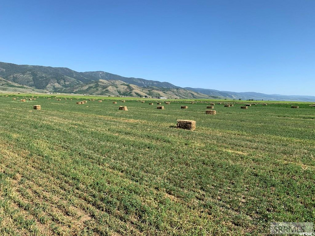 #28, Grace, ID 83241 — photo 5