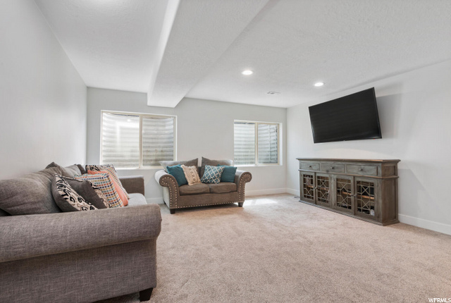 Downstairs Family Room