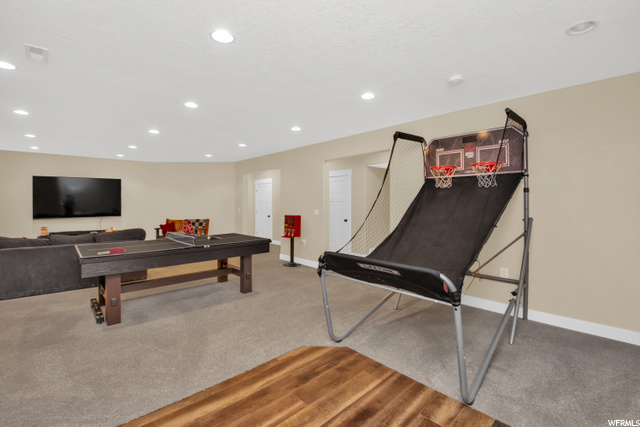 Basement Rec/Family Room