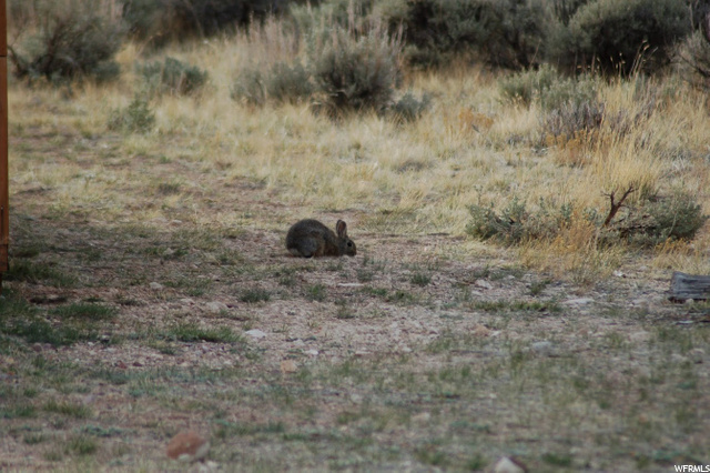 #B69, Fruitland, UT 84027 — photo 5