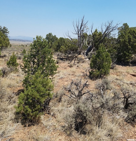 #B69, Fruitland, UT 84027 — photo 4