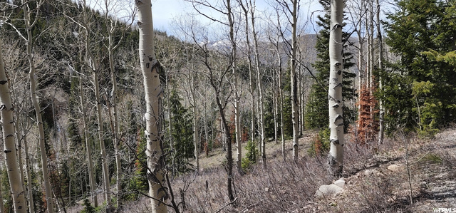 8550 N Uinta Dr #759, Oakley, UT 84055 — photo 2