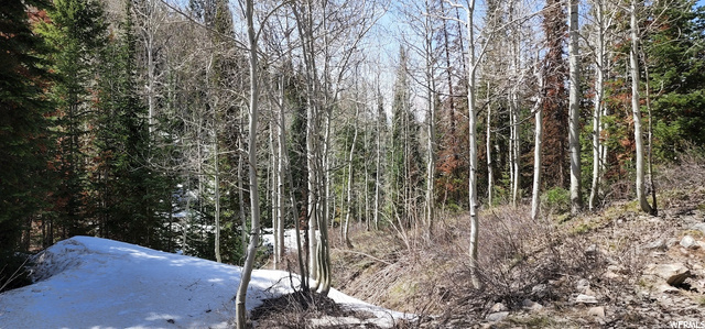 8550 N Uinta Dr #759, Oakley, UT 84055 — photo 4