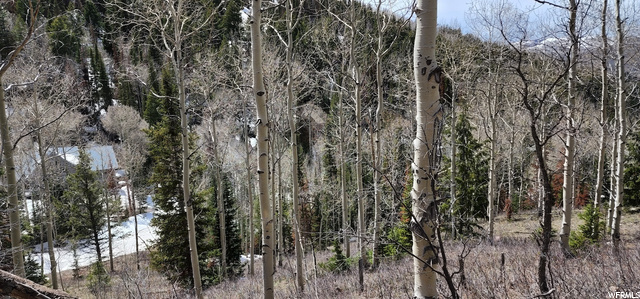 8550 N Uinta Dr #759, Oakley, UT 84055 — photo 9