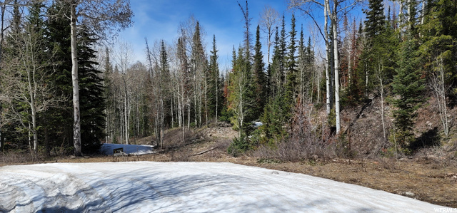 8550 N Uinta Dr #759, Oakley, UT 84055 — photo 11