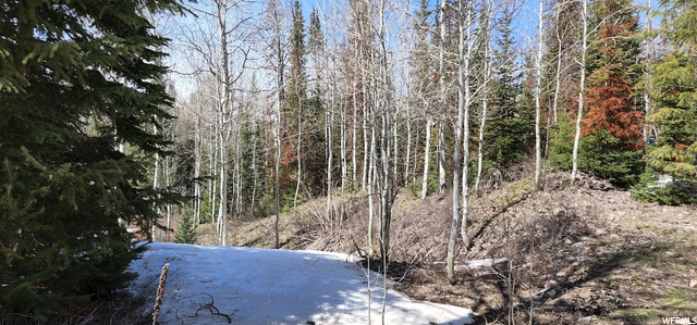 8550 N Uinta Dr #759, Oakley, UT 84055 — photo 10