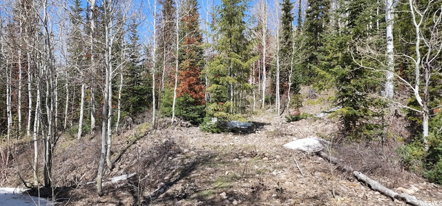 8550 N Uinta Dr #759, Oakley, UT 84055 — photo 3