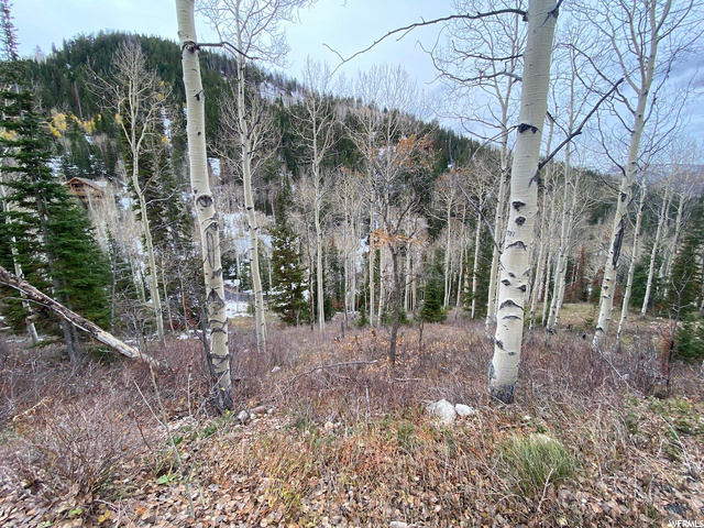 8550 N Uinta Dr #759, Oakley, UT 84055 — photo 12