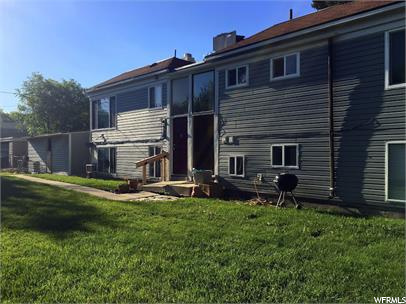 Backyard and basement entrance