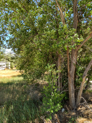 1773 S 1500 E, Naples, UT 84078 — photo 8