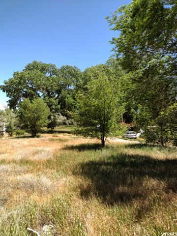 1773 S 1500 E, Naples, UT 84078 — photo 4