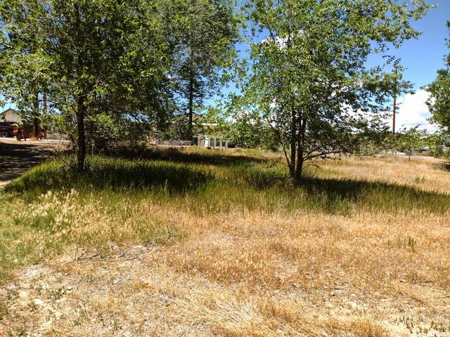 1773 S 1500 E, Naples, UT 84078 — photo 3