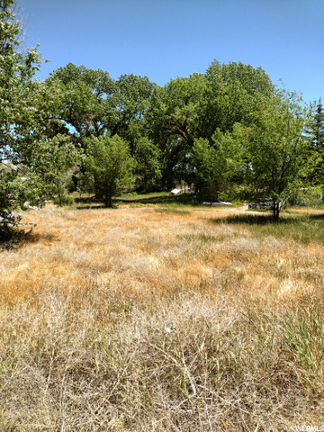 1773 S 1500 E, Naples, UT 84078 — photo 10