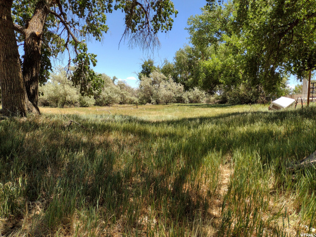 1773 S 1500 E, Naples, UT 84078 — photo 2