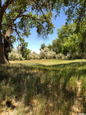 1773 S 1500 E, Naples, UT 84078 — photo 7