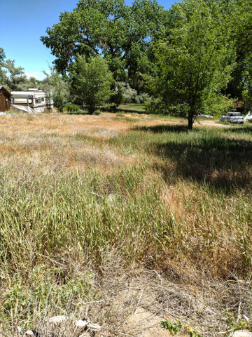 1773 S 1500 E, Naples, UT 84078 — photo 9