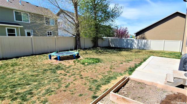 Large fenced yard