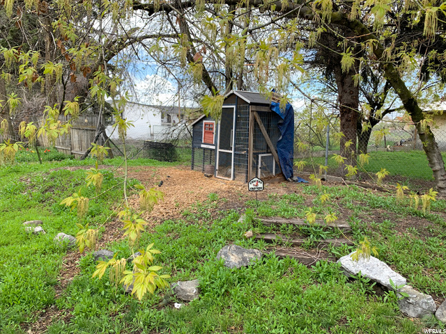 Chicken coop